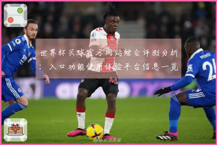 世界杯买球官方网站综合评测分析：入口功能使用体验平台信息一览