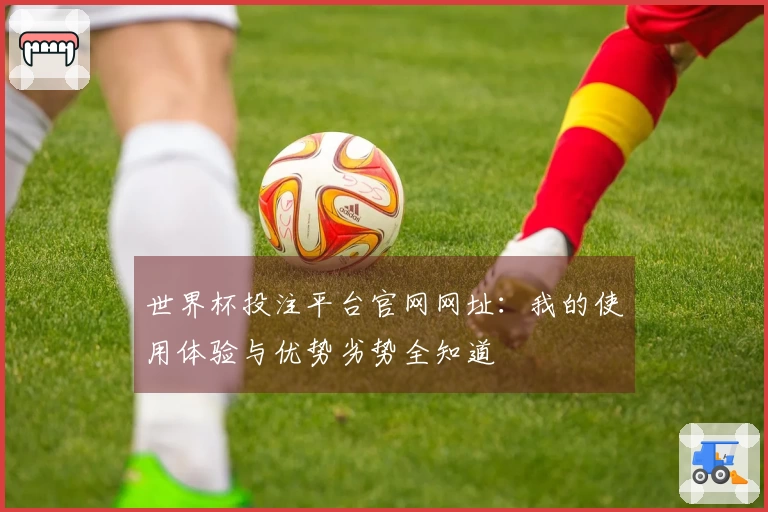 世界杯投注平台官网网址：我的使用体验与优势劣势全知道