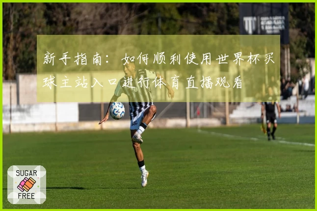 新手指南：如何顺利使用世界杯买球主站入口进行体育直播观看