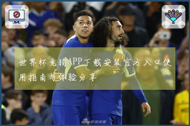 世界杯竞猜APP下载安装官方入口使用指南与体验分享