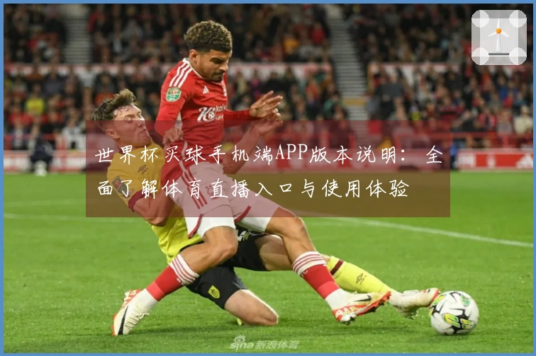 世界杯买球手机端APP版本说明：全面了解体育直播入口与使用体验